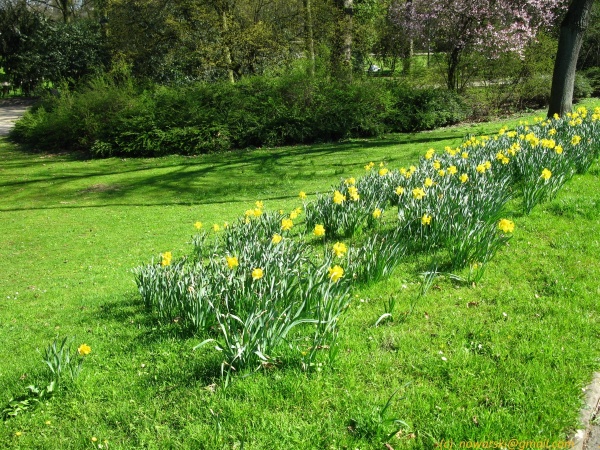 20120326-153718-Dusseldorf-3070.jpg