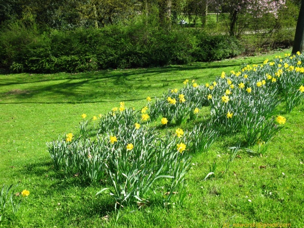 20120326-153724-Dusseldorf-3071.jpg