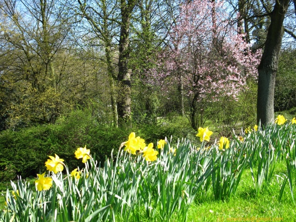 20120326-153740-Dusseldorf-3072.jpg