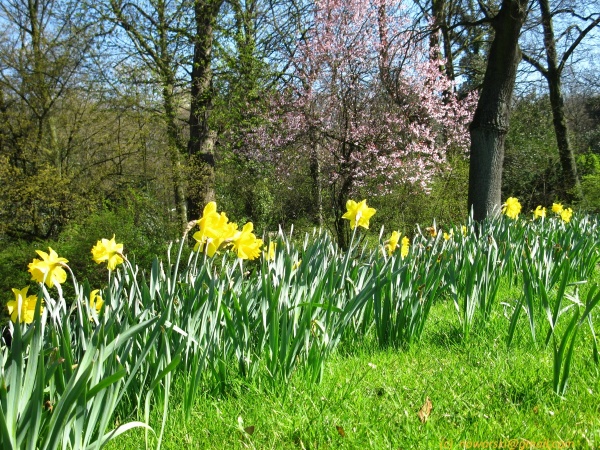 20120326-153744-Dusseldorf-3073.jpg
