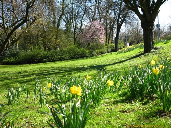 20120326-153848-Dusseldorf-3076.jpg