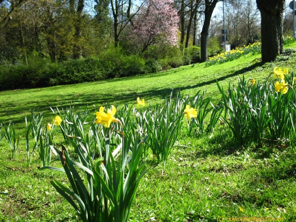 20120326-153854-Dusseldorf-3077.jpg