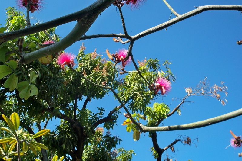 20100124-093408-Haiti-Adi-1737.jpg