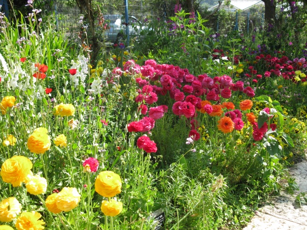 20110424-160952-Jerusalem-Botanic-Garden-8925.jpg
