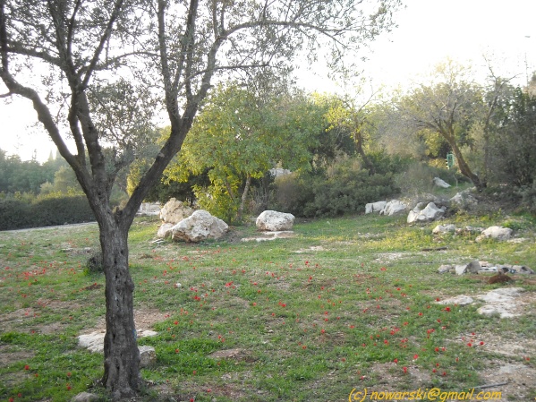 20090312-170340-jerusalem-valley-of-cross-N0145-q.jpg