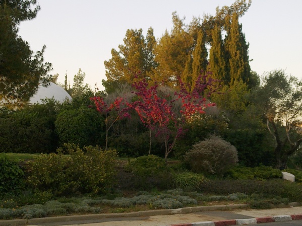 20120404-154236-Jerusalem-University-E0736.jpg