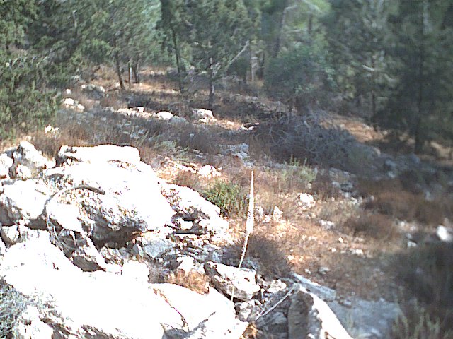 20020913-Jerusalem-Forest-07.jpg