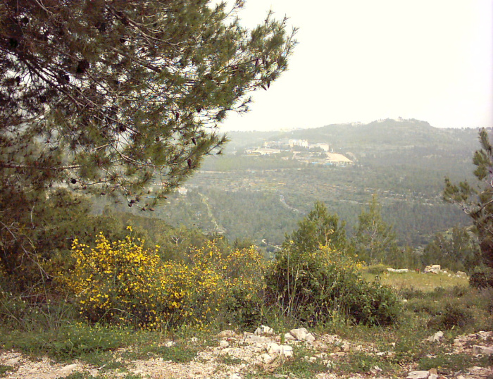 20040327-170724-Jerusalem-Sataf-0001.JPG
