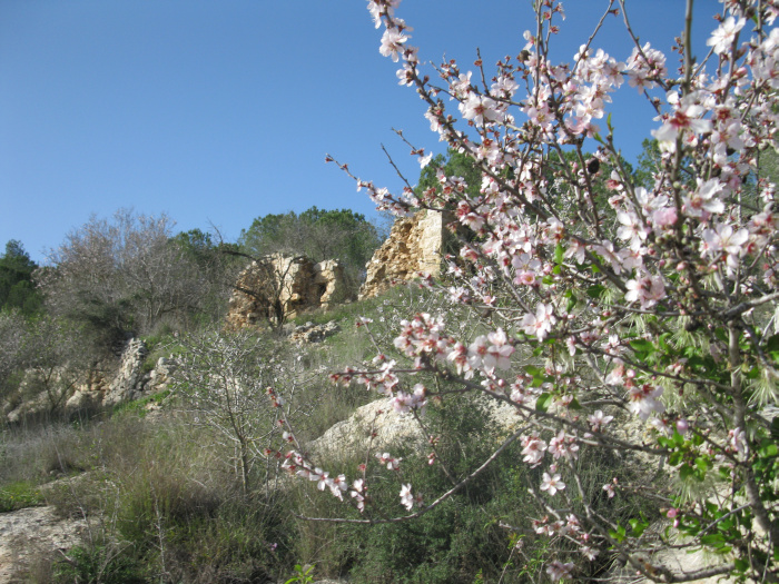 20100123-155554-Jerusalem-Sataf-C4300.jpg