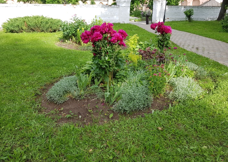 20170705-171128-SR_001-2.jpg