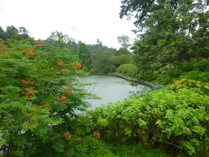 20141206-103832-Singapore-Botanic-Gardens-PJ1700.JPG