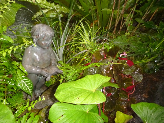 20141206-105314-Singapore-Botanic-Gardens-PJ1718.JPG