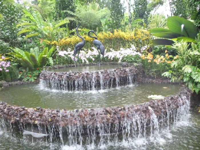 20141206-110732-Singapore-Botanic-Gardens-PJ1732.JPG