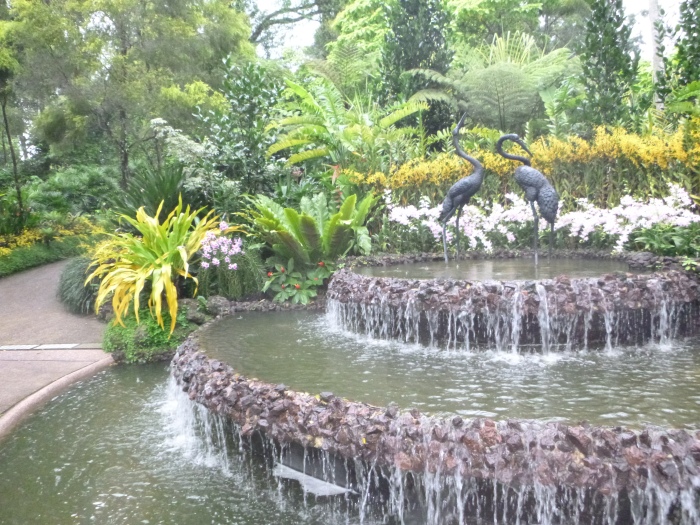 20141206-110736-Singapore-Botanic-Gardens-PJ1733.JPG