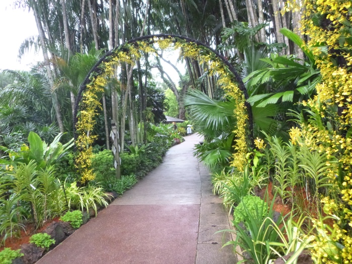20141206-111750-Singapore-Botanic-Gardens-PJ1765.JPG