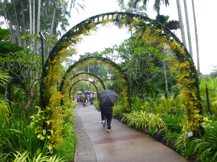 20141206-111756-Singapore-Botanic-Gardens-PJ1766.JPG