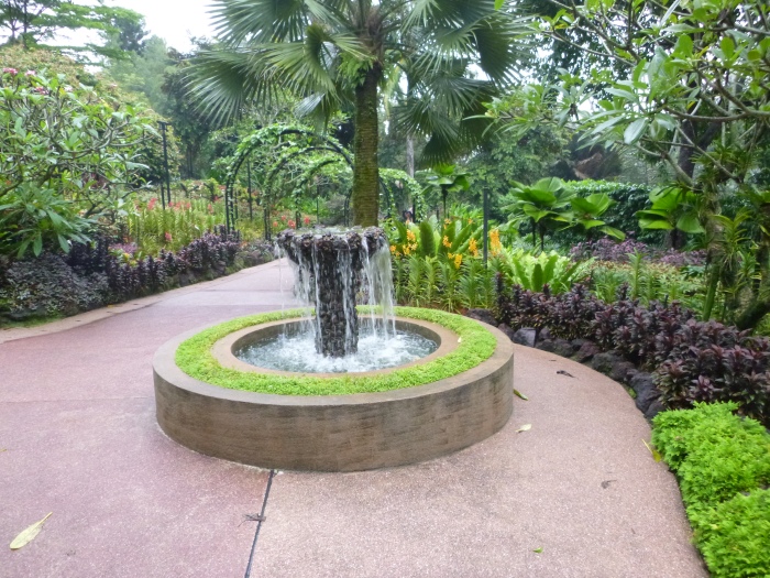 20141206-112010-Singapore-Botanic-Gardens-PJ1769.JPG