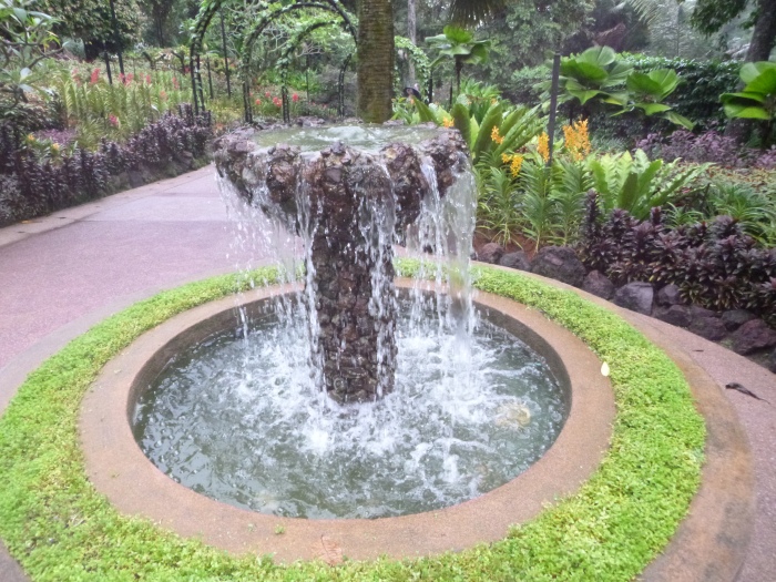 20141206-112018-Singapore-Botanic-Gardens-PJ1770.JPG