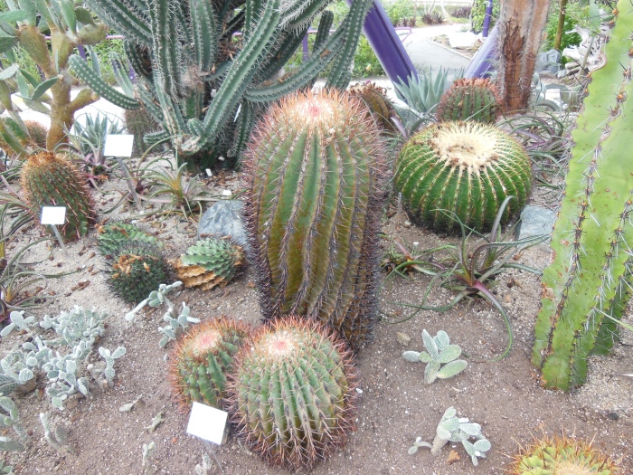 20141208-100436-Gardens-by-the-Bay-NJ7919.JPG