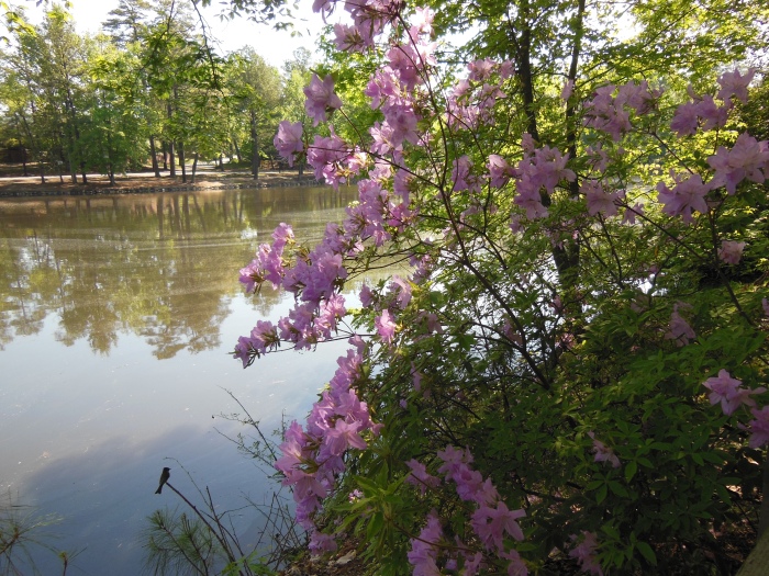 20130510-100930-University-of-Richmond-N1681.JPG