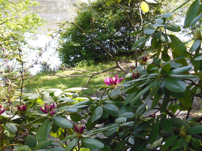20130510-101028-University-of-Richmond-N1685.JPG