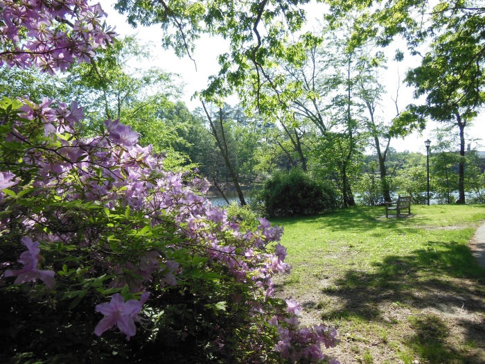 20130510-101244-University-of-Richmond-N1689.JPG