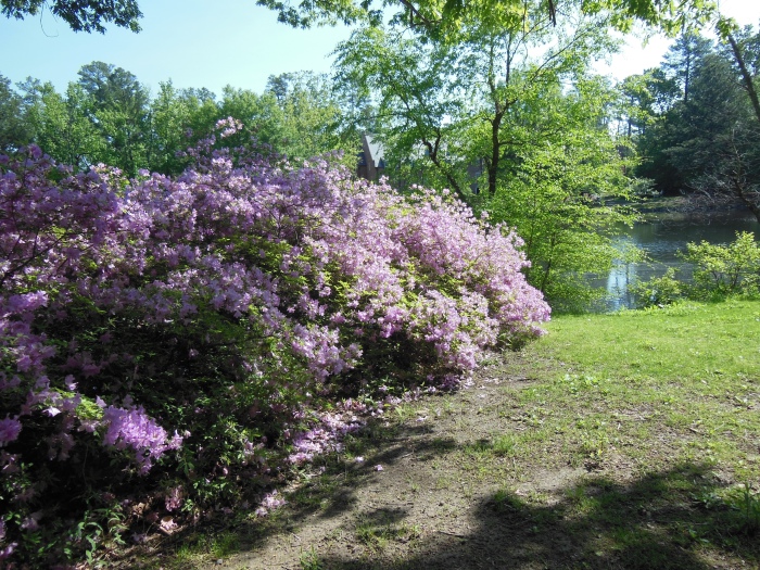 20130510-101336-University-of-Richmond-N1694.JPG