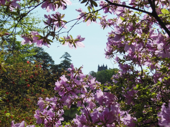20130510-101422-University-of-Richmond-N1697.JPG