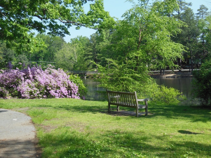20130510-101446-University-of-Richmond-N1699.JPG