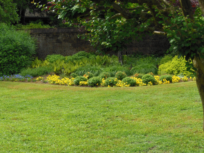 20130521-160710-Elizabeth-Garden-NC-N2199.JPG