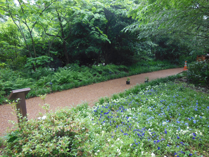 20130521-165006-Elizabeth-Garden-NC-N2270.JPG