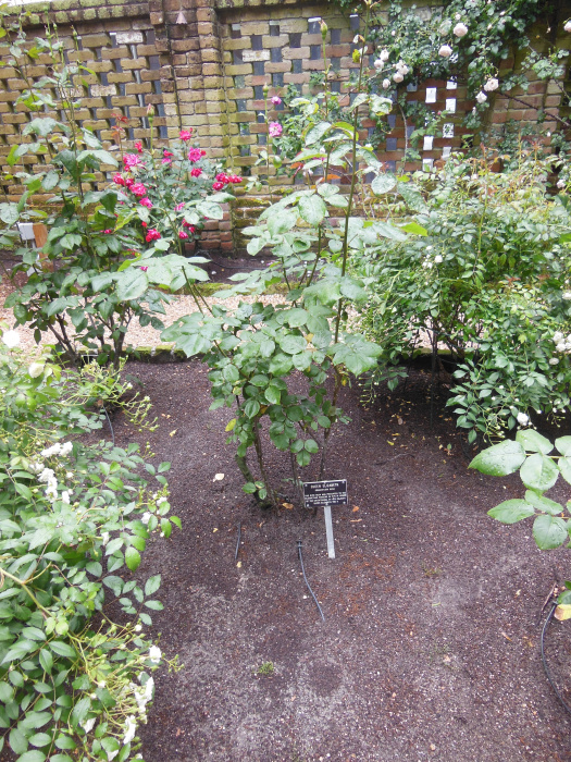 20130521-170538-Elizabeth-Garden-NC-N2292r.jpg