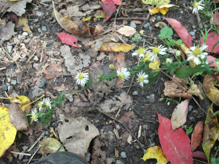 20111014-152324-James-River-FJ2297.jpg