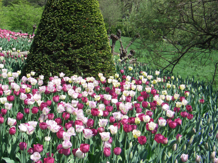 20040424-111842-Longwood-Gardens-CR0141.JPG