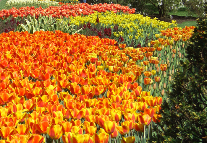 20040424-112234-Longwood-Gardens-CR0147-2.jpg