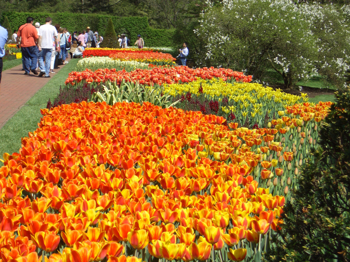 20040424-112234-Longwood-Gardens-CR0147.JPG