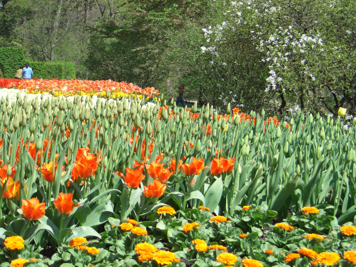 20040424-112458-Longwood-Gardens-CR0150.JPG