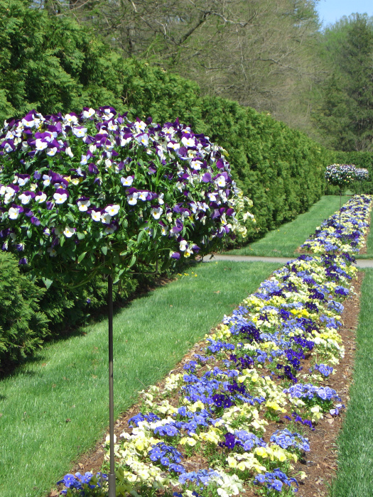 20040424-122208-Longwood-Gardens-CR0166.JPG