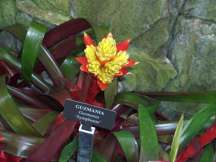20040424-131112-Longwood-Gardens-CR0197.JPG