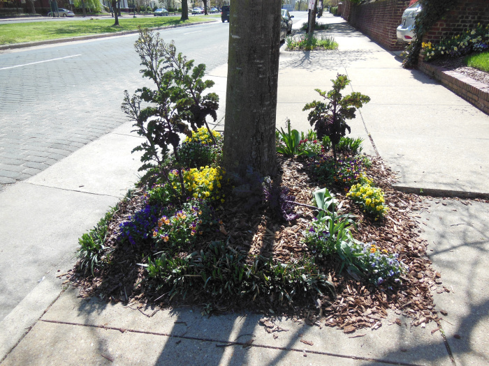 20140417-101606-Richmond-Monument-Avenue-N5834.JPG