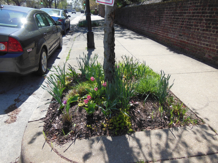 20140417-101620-Richmond-Monument-Avenue-N5835.JPG
