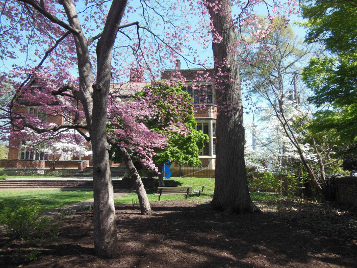 20140417-102538-Richmond-Monument-Avenue-N5851.JPG