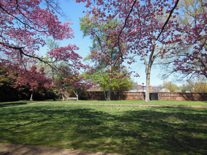 20140417-102620-Richmond-Monument-Avenue-N5856.JPG