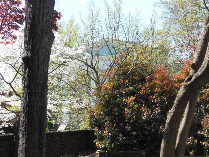 20140417-102638-Richmond-Monument-Avenue-N5859.JPG