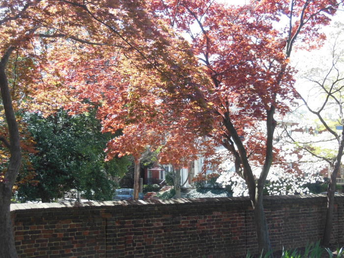 20140417-102642-Richmond-Monument-Avenue-N5860.JPG