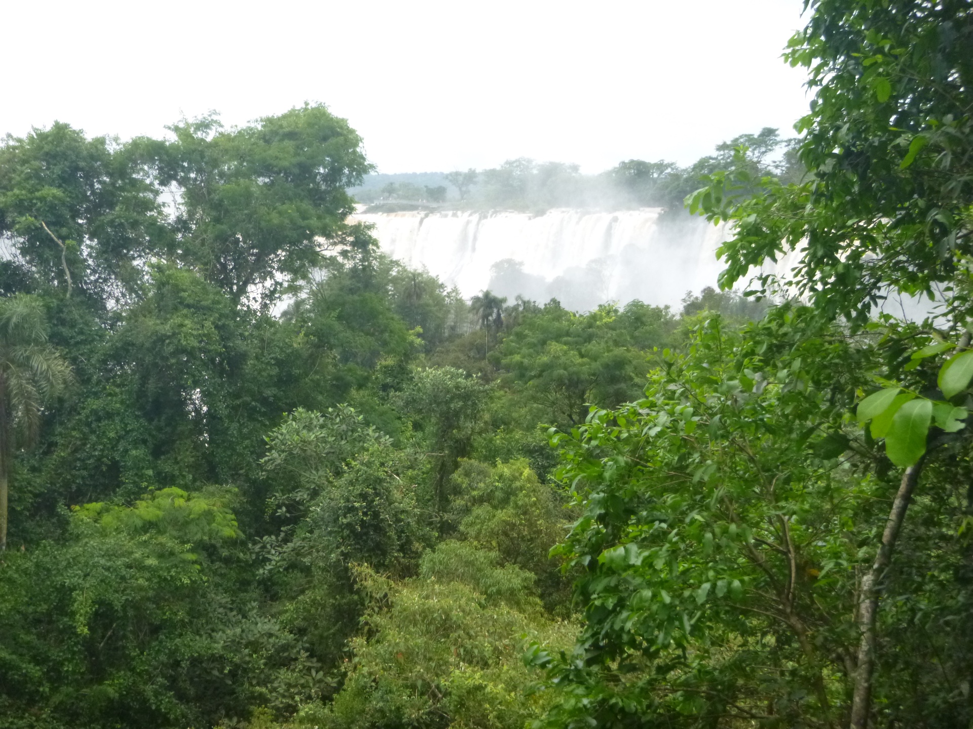 20151231-115022-Iguazu-P7720.JPG