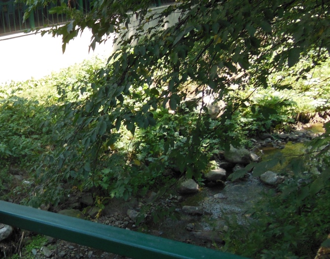 20150820-120606-N1815-3.jpg