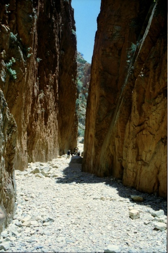 AU117-25r.jpg