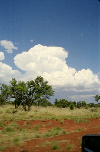AU116-01r.jpg