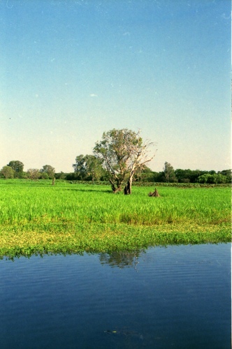 AU108-09r.jpg